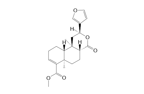 12-EPI-METHYL-BARBASCOATE