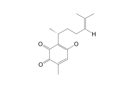 RIGIDONE