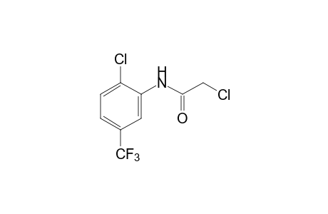 2,6'-DICHLORO-alpha,alpha,alpha-TRIFLUORO-m-ACETOTOLUIDIDE