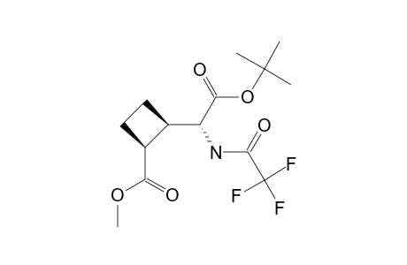 TERT.-BUTYL-2-(2'-METHOXYCARBONYLCYCLOBUTYL)-2-TRIFLUORACETYL-GLYCINATE