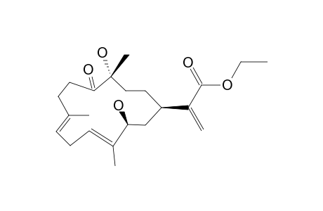 DENDRONPHOLIDE_E