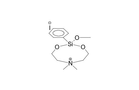 2-METHOXY-2-PHENYL-6-METHYL-1,3,2,6-DIOXAZASILACYCLOOCTANEIODOMETHYLATE