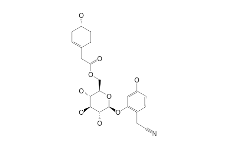 #4;2-(2,4-DIHYDROXYPHENYL)-ACETONITRILE-2-O-BETA-D-GLUCOPYRANOSIDE-6'-O-(S)-2-(4-HYDROXYCYCLOHEX-1-EN-1-YL)-ACETATE;(S)-1-(4-HYDROXYCYCLOHEX-1-EN-1-YL)-ACETATI