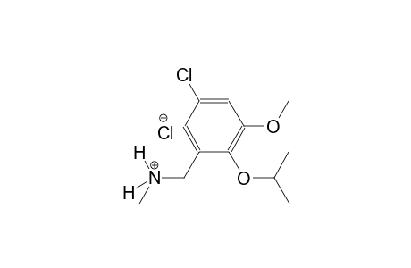 (5-chloro-2-isopropoxy-3-methoxyphenyl)-N-methylmethanaminium chloride