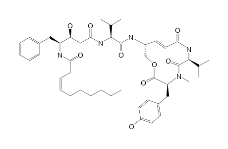 THALASSOSPIRAMIDE-D