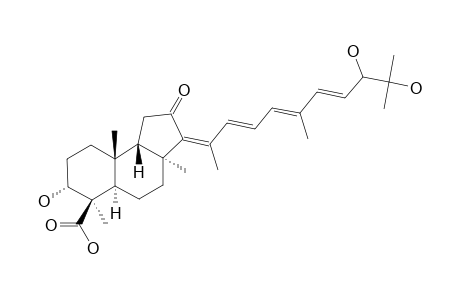 GLOBOSTELLATIC_ACID_M