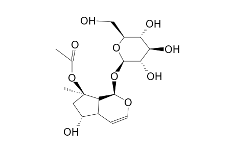 6-O-ACETYLMYOPOROSIDE