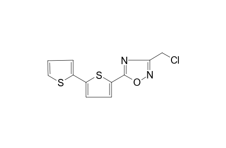 3-(chloromethyl)-5-(5-thiophen-2-yl-2-thiophenyl)-1,2,4-oxadiazole