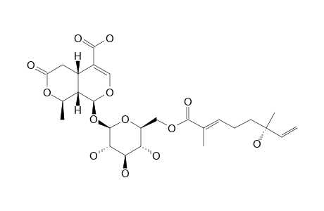 SYRVEOSIDE-B;6'-O-(MENTHIAFOLOYL)-8-EPI-KINGISIDIC-ACID