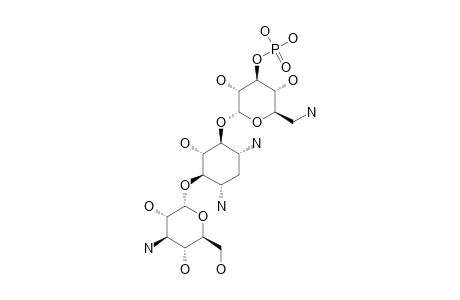 KANAMYCIN-A-3'-PHOSPHATE