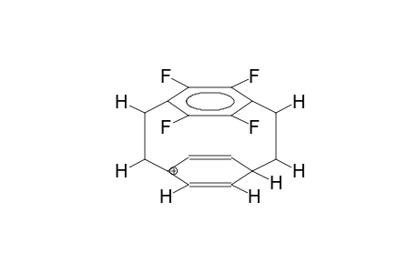 TETRAFLUORO[2.2]PARACYCLOPHANE, PROTONATED