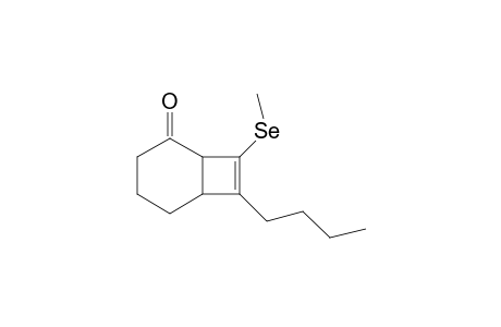 7-BUTYL-8-METHYLSELENO-BICYCLO-[4.2.0]-OCT-7-EN-2-ONE