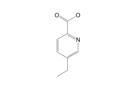 5-Ethyl-2-pyridinecarboxylic acid