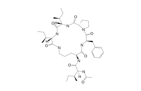 PSEUDACYCLIN_A;CYCLO-[N-(DELTA)-L-ORN-(1)-(N-1-ACETYL-L-ILE-(6))-D-PHE-(2)-L-PRO-(3)-L-ILE-(4)-L-ILE-(5)]