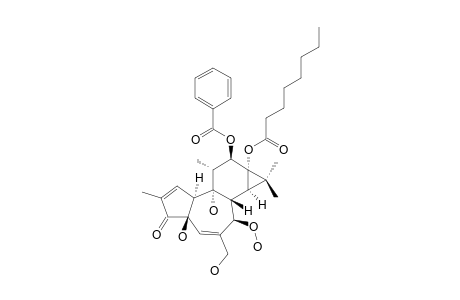 STELLERACIN_E