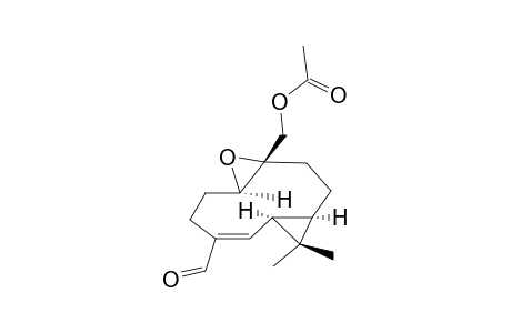 VOLVALERENAL_A