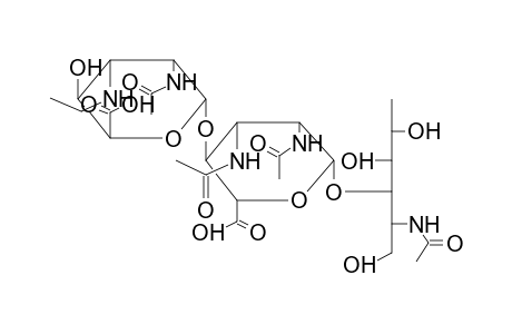 OLIGOSACCHARIDE 1 (FROM PSEUDOMONAS AERUGINOSA)