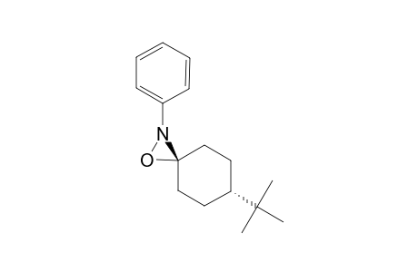 (CIS)-6-TERT.-BUTYL-2-PHENYL-1-OXA-2-AZASPIRO-[2.5]-OCTANE