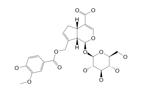 10-O-VANILLOYL-GENIPOSIDIC-ACID