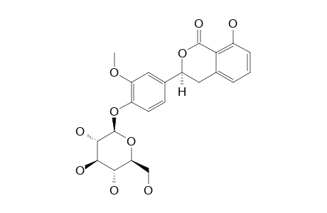 3S-THUNBERGINOL-I-4'-O-GLUCOPYRANOSIDE;3S-(3'-O-METHOXY-4'-O-BETA-D-GLUCOPYRANOSYLPHENYL)-8-HYDROXYDIHYDROISOCOUMARIN