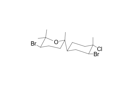 CAESPITANE