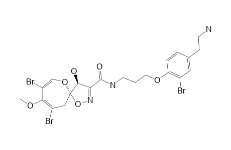 PSAMMAPLYSIN_I