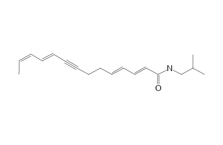 N-Isobutyl-2E,4E,10E,12Z-tetradecatetraen-8-ynamide