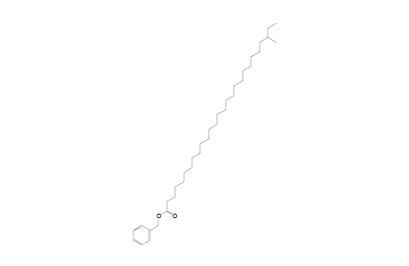 Benzyl 25-methylheptacosanoate