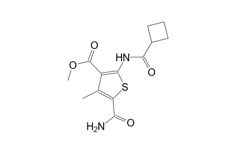 methyl 5-(aminocarbonyl)-2-[(cyclobutylcarbonyl)amino]-4-methyl-3-thiophenecarboxylate