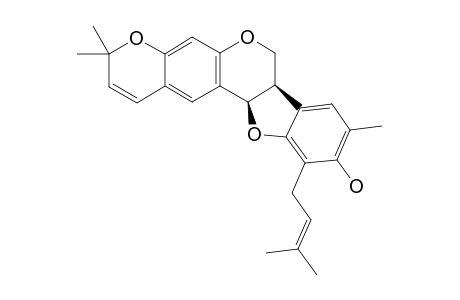 LESPECYRTIN_E_5