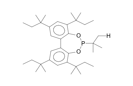 2,4,8,10-TETRAKIS(1,1-DIMETHYLPROPYL)-6-(1,1-DIMETHYLETHYL)-DIBENZO[D,F][1,3,2]DIOXAPHOSPHEPIN