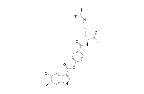 HERDMANINE_E