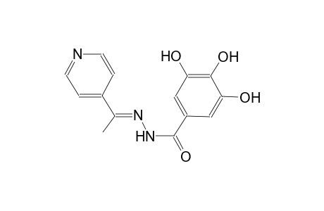 3,4,5-trihydroxy-N'-[(E)-1-(4-pyridinyl)ethylidene]benzohydrazide