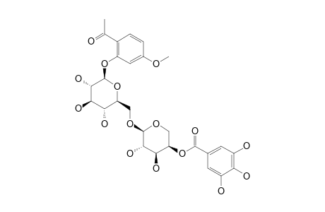 SUFFRUTICOSIDE-C;PAEONOL-2-O-4''-O-GALLOYL-ALPHA-L-ARABINOPYRANOSYL-(1''->6')-BETA-D-GLUCOPYRANOSIDE