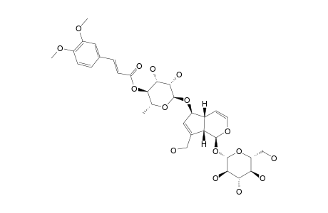 SCROLEPIDOSIDE;6-O-[4''-O-TRANS-(3,4-DIMETHOXYCINNAMOYL)-ALPHA-L-RHAMNOPYRANOSYL]-AUCUBIN