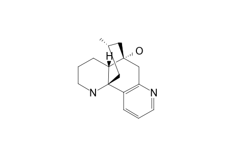 CASUARININE_J