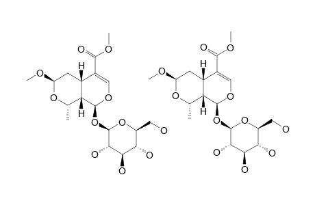 7-O-METHYL-MORRONISIDE