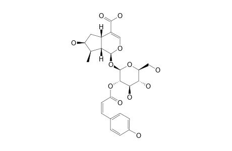 2'-O-CIS-PARA-COUMAROYL-LOGANIC-ACID