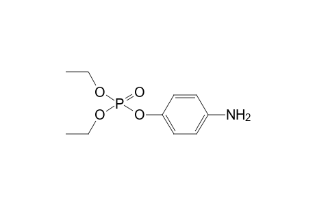 Aminoparaoxon