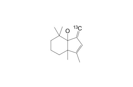 2,2,6,7-TETRAMETHYL-9-METHYLIDENEBICYCLO-[4.3.0]-NON-7-EN-1-OL