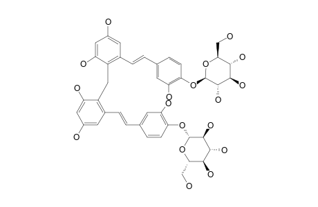 RHEUMAUSTRALIN