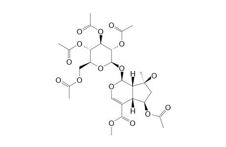 SHANZHISIDE-METHYLESTER-PENTA-ACETATE