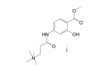 {2-[(4-CARBOXY-3-HYDROXYPHENYL)CARBAMOYL]ETHYL}TRIMETHYLAMMONIUM IODIDE, METHYL ESTER