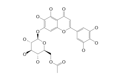 5,6,7,3',4',5'-HEXAHYDROXYFLAVONE-7-O-[6''-O-ACETYL]-BETA-GLUCOPYRANOSIDE