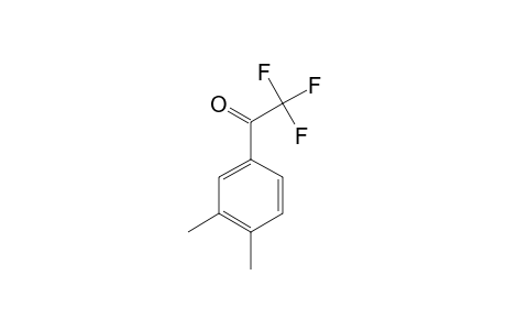 TRIFLUOROMETHYL-3,4-DIMETHYLPHENYLKETONE