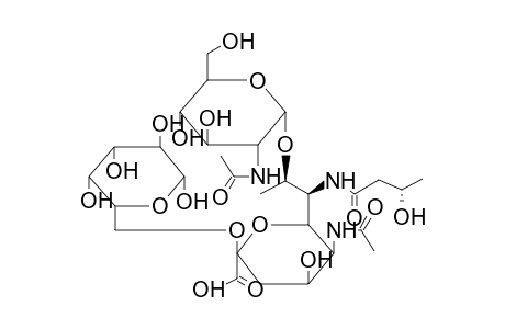 BETA-TRISACCHARIDE 1 (FROM SHIGELLA BOYDII)