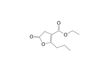 2-keto-5-propyl-3H-furan-4-carboxylic acid ethyl ester