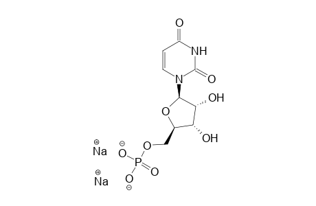 Uridine 5'-monophosphate disodium salt