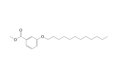 m-(dodecyloxy)benzoic acid, methyl ester