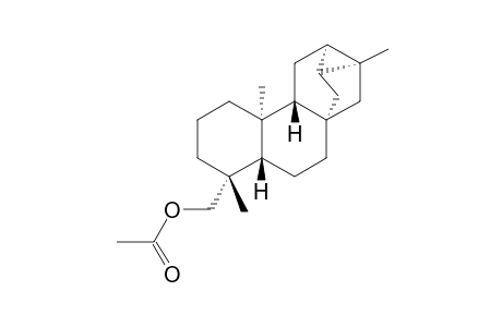 TRACHYLOBANOLACETAT